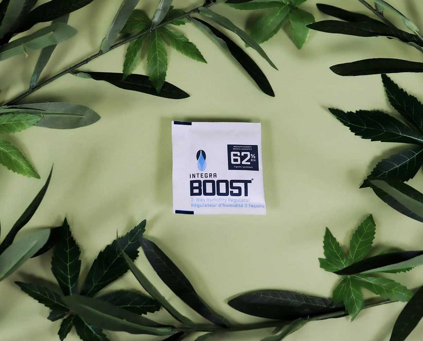 Integra BOOST 8g 62% RH packet surrounded by green leaves for organic product storage.