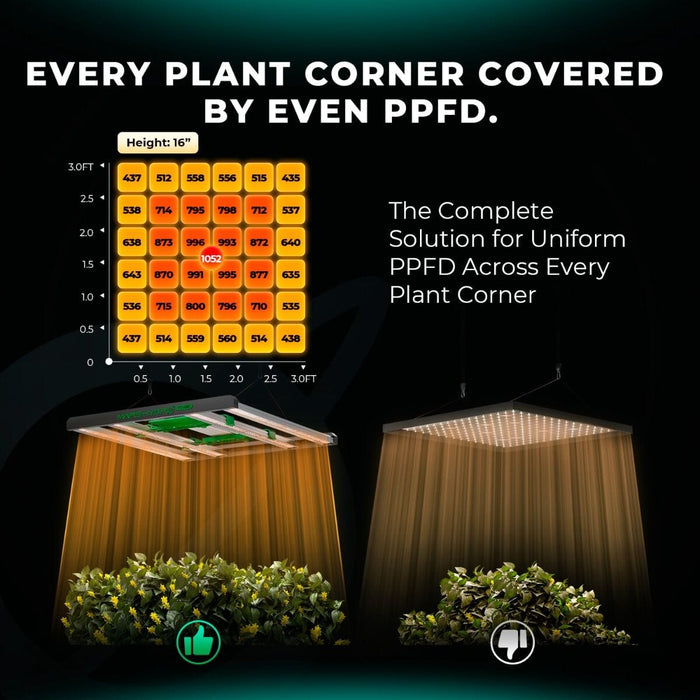 Visualization of even PPFD light coverage across every plant corner from the FC-3000 EVO.