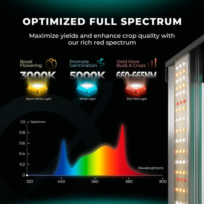 Spectrum chart of optimized full spectrum lighting with 3000K warm white, 5000K white, and 660–665nm red light peaks.