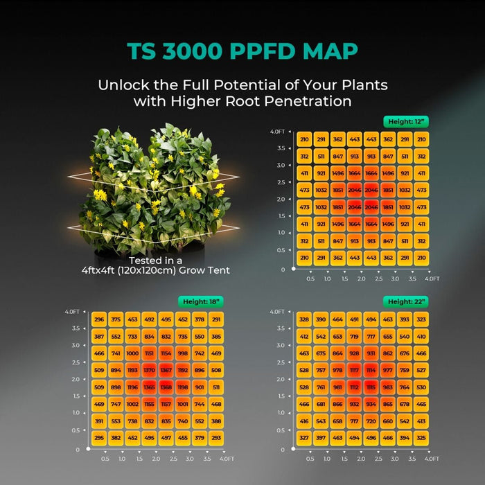 TS 3000 PPFD map showing light intensity across a 4x4 grow tent at various hanging heights.
