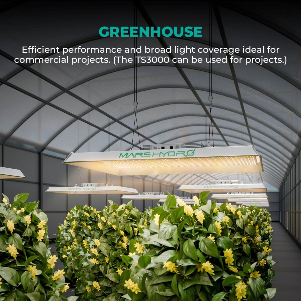 Mars Hydro TS 3000 420W Full Spectrum LED Light — Grow Light Central