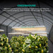 Mars Hydro TS 3000 LED grow lights installed in a commercial greenhouse over flowering plants.