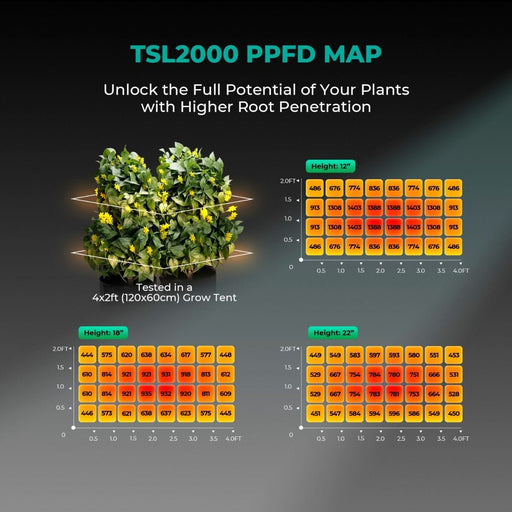 PPFD map for the Mars Hydro TSL 2000 in a 4x2 grow tent at various hanging heights to show light intensity distribution.