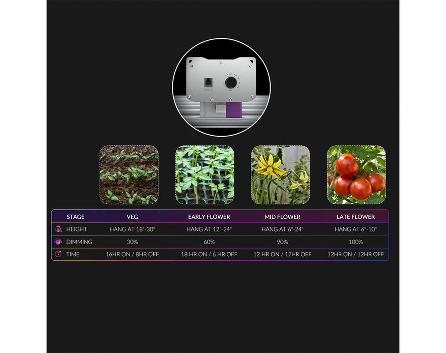 Lighting schedule guide by growth stage with recommended hanging height, dimming level, and light cycle for veg, early flower, mid flower, and late flower stages.