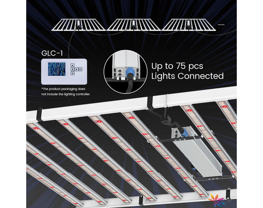 Controller and daisy chain setup showing the connection of up to 75 Medic Grow Fold 1200W units with optional GLC-1 controller.