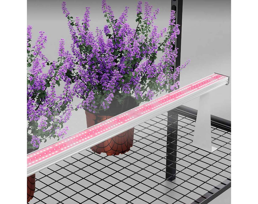 Hell Fire 120W LED bar on steel rack giving pink under canopy light to potted purple flowering herbs.