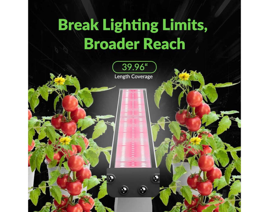 Hell Fire 120W LED bar, 39.96-inch length, providing broad reach lighting between tall tomato plants.
