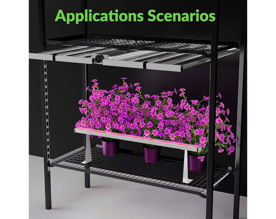 Hell Fire 120W LED bar mounted under a shelf, delivering pink light to flowering plants in a multitier grow rack.