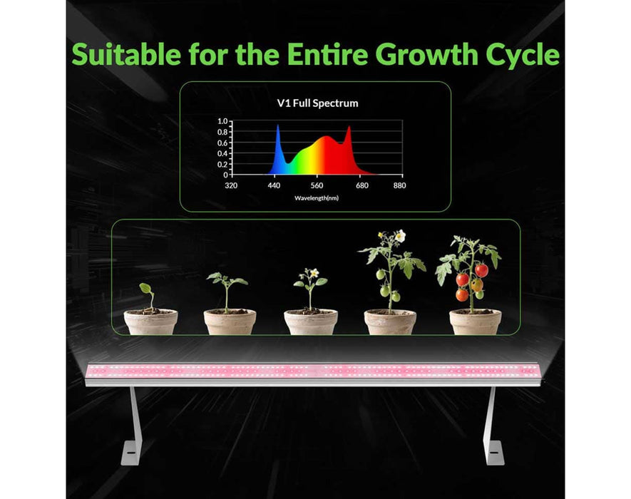 Hell Fire 120W LED bar with V1 full spectrum graph and plant stages from seedling to fruiting, supporting entire growth cycle.
