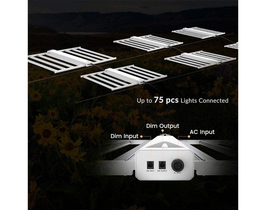 Dimming control panel and daisy-chain diagram for connecting up to 75 Smart-8 grow lights.