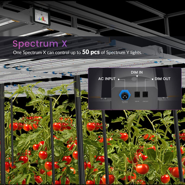 Spectrum X LED grow lights suspended over tomato plants, with a callout showing AC input and daisy-chain dimming ports.