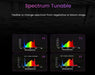 Spectrum tunability chart showing four spectrums: V1, F1, VS, and FS—adaptable from vegetative to flowering stages.