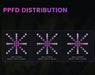 PPFD distribution chart for the Spectrum X at three hanging heights—6", 12", and 24"—showing uniform light coverage with 2.8 µmol/J efficacy.