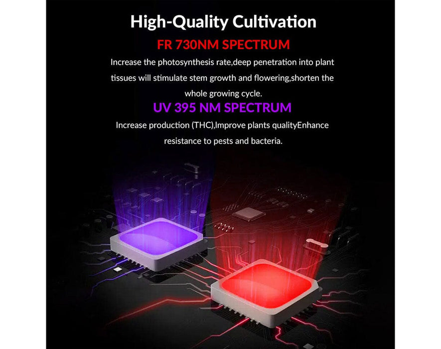 Graphic of UV 395 nm and FR 730 nm diodes highlighting photosynthesis, yield gains and pest resistance.