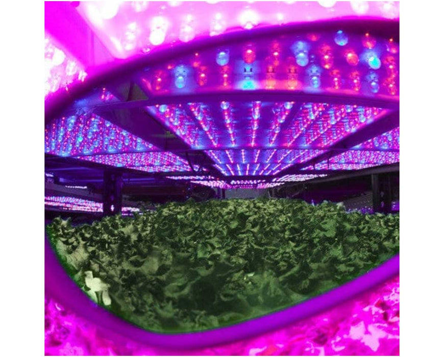 Grow room view through Method Seven clip-on glasses showing reduced blurple LED light and enhanced plant visibility.
