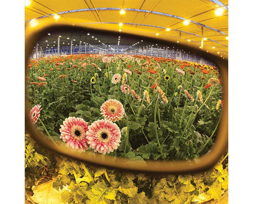 Greenhouse scene viewed through Method Seven HPS lenses, enhancing natural flower colors under HPS lighting.