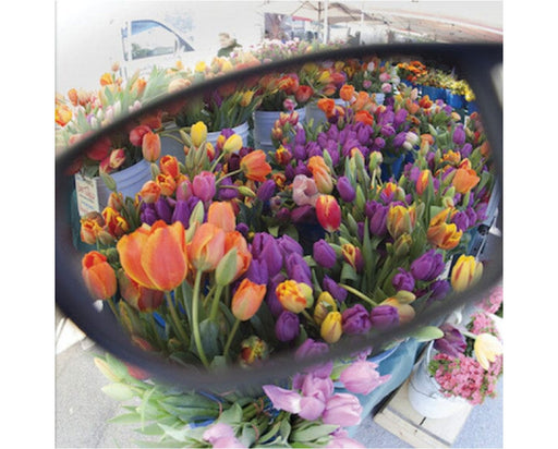 View through Method Seven polarized lenses showing enhanced, true-to-life colors of tulips at a flower market.