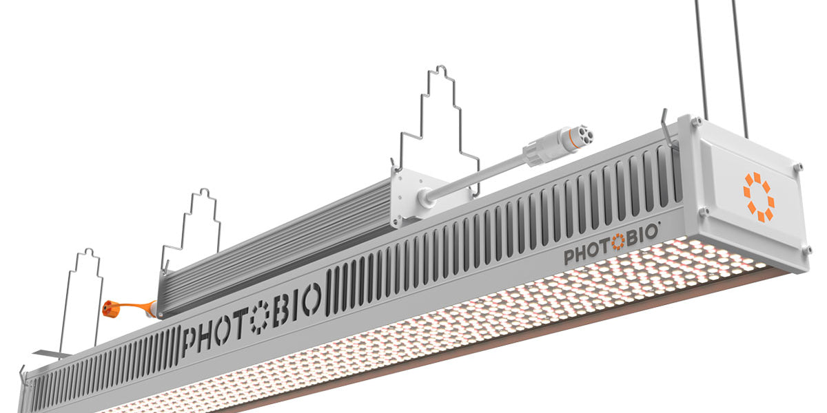 光器ペトローバ　英語 Amazon.com: Waveshare SX1302 868M LoRaWAN Gateway HAT, Compatible