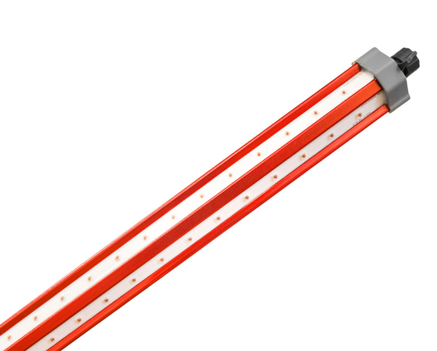 Close-up of the end of a red Photontek FAR-RED LED light bar showing two parallel rows of LEDs encased in white, with a gray connector cap on one end.