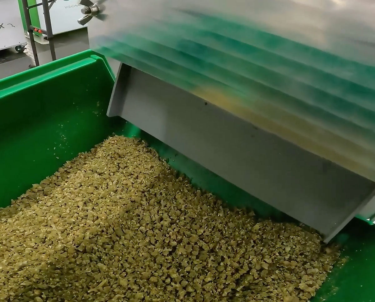 Image 3:
Shredded bud flower collected in green bin after processing with STM Mini-Revolution industrial herb grinder.