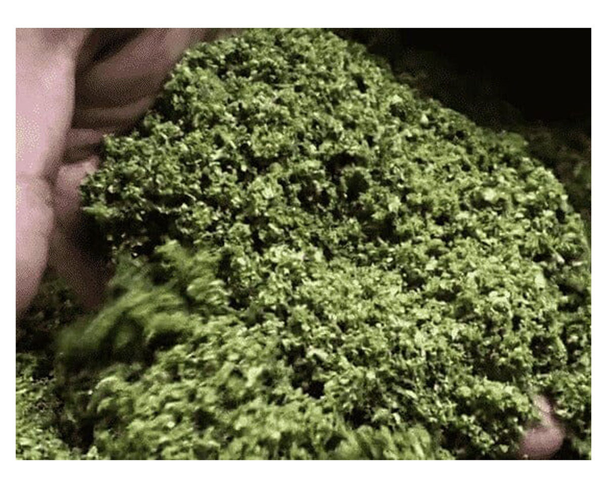 Close-up of fluffy, finely ground bud produced by the STM Revolution 2.0 Commercial Grinder.