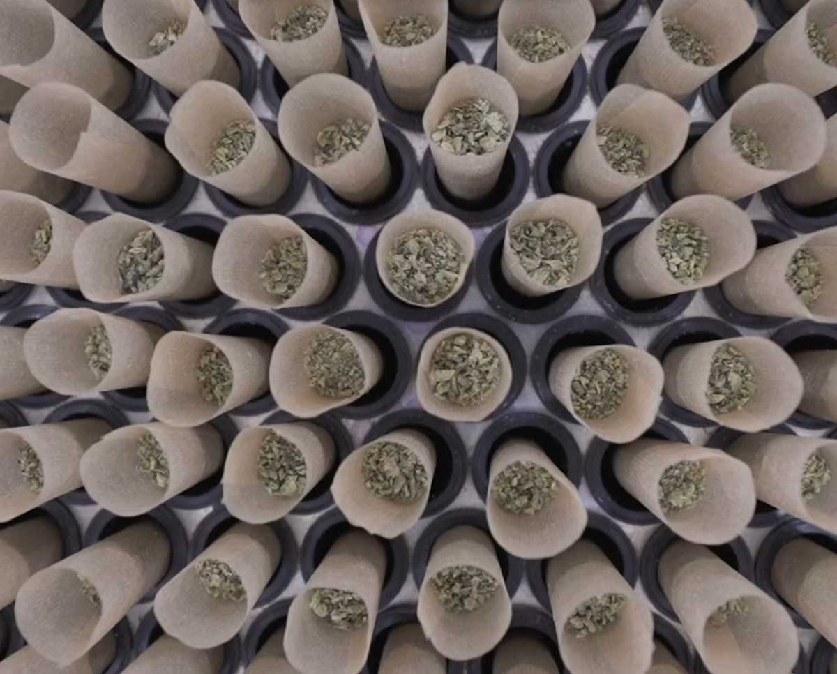 Top view of filled pre-roll cones inside STM RocketBox 2.0 tray, showcasing uniform bud distribution and precision.