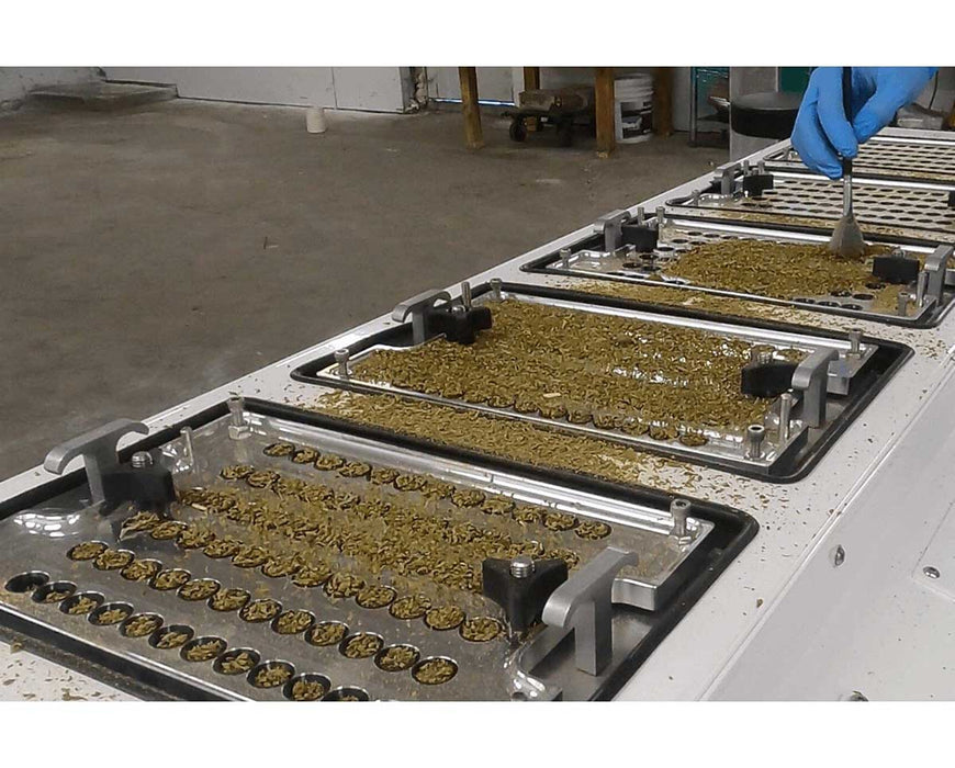 Pre-roll trays on RocketBox PRO being filled with cannabis material during the production process.