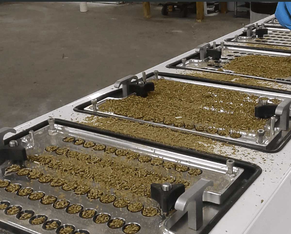 Multiple STM RocketBox Pro trays filled with bud material, ready for rapid pre-roll production at commercial scale.