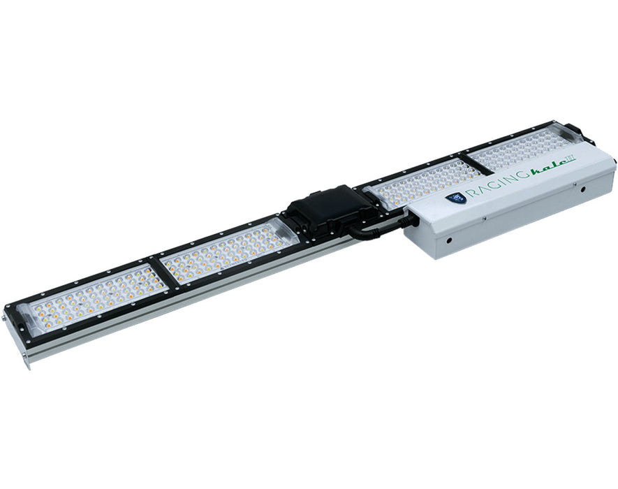 The Scynce Raging Kale II+ LED grow light is displayed from a side angle, showcasing its four-panel linear layout with an attached driver.