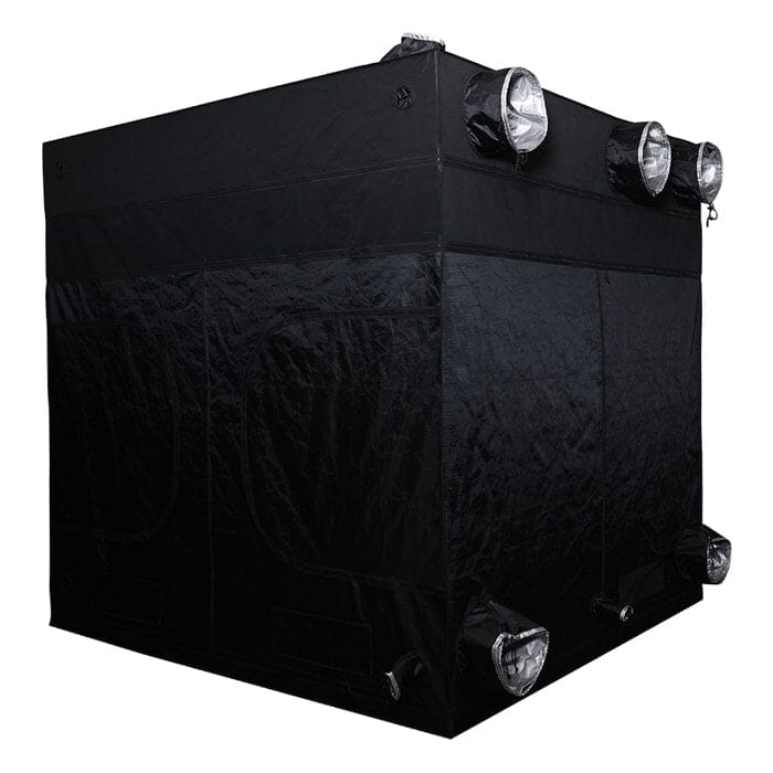 Angled rear view of the Goliath Grow Tent 8x8 showcasing fully closed setup with multiple exhaust ports.
