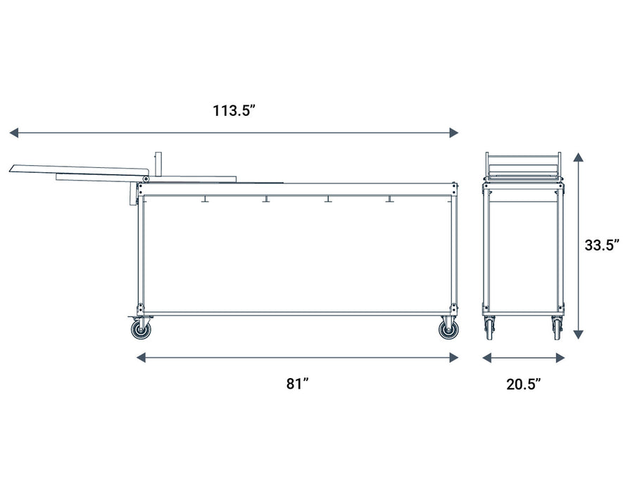 Wachsen SS304 Bud Sorter & DB-6 Bucker Bundle dimension drawing, showing length of 113.5 inches, width of 81 inches, and height of 33.5 inches with a 20.5-inch depth.