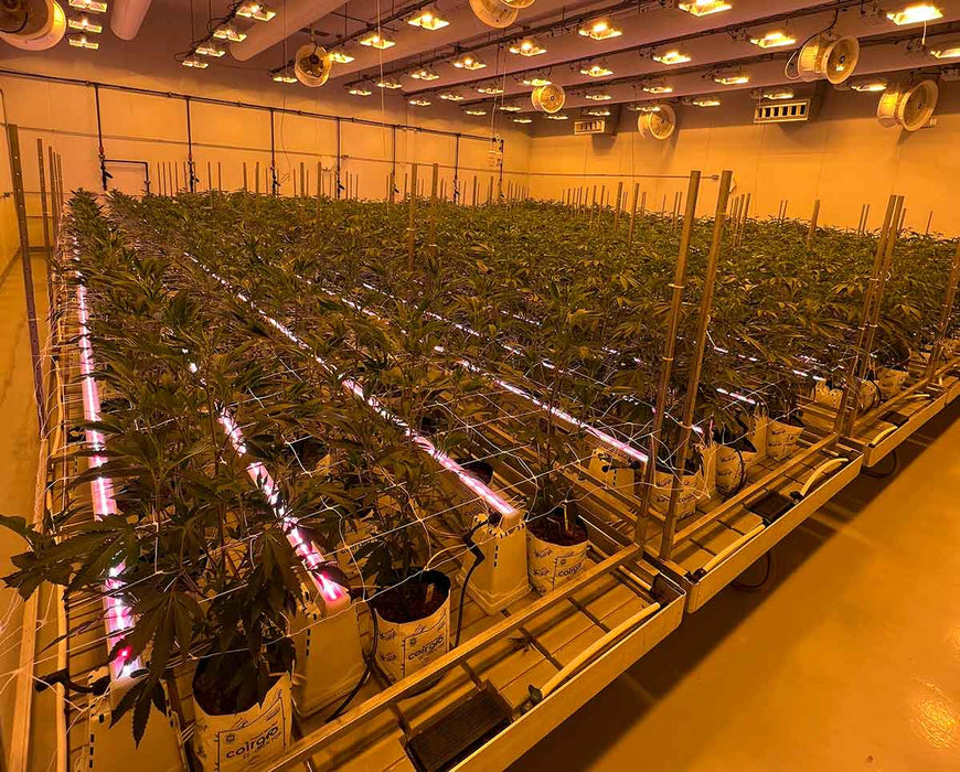 High-efficiency Craft Farmer V3 Undercanopy Lights installed in large grow facility with optimized power use.