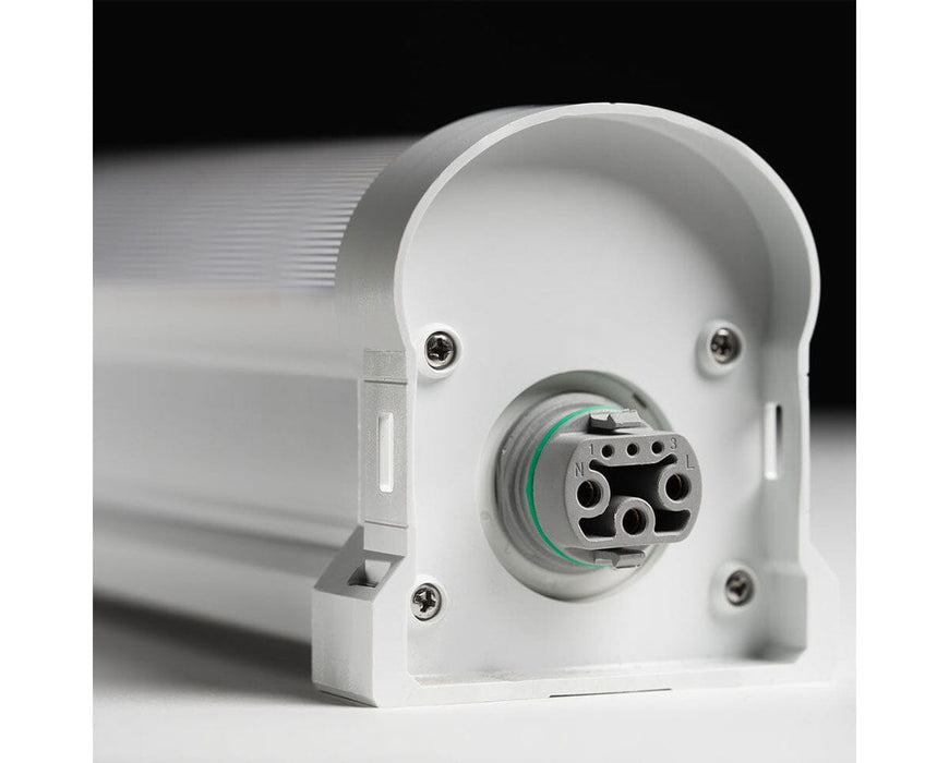 Alternate end of Chroma light showing gray 3-pin power input connector for daisy chaining setup.