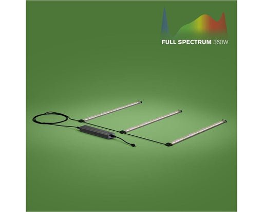 FloraFlex 360W LED light bars powered on in horizontal layout without tripods, showing purple-white glow.