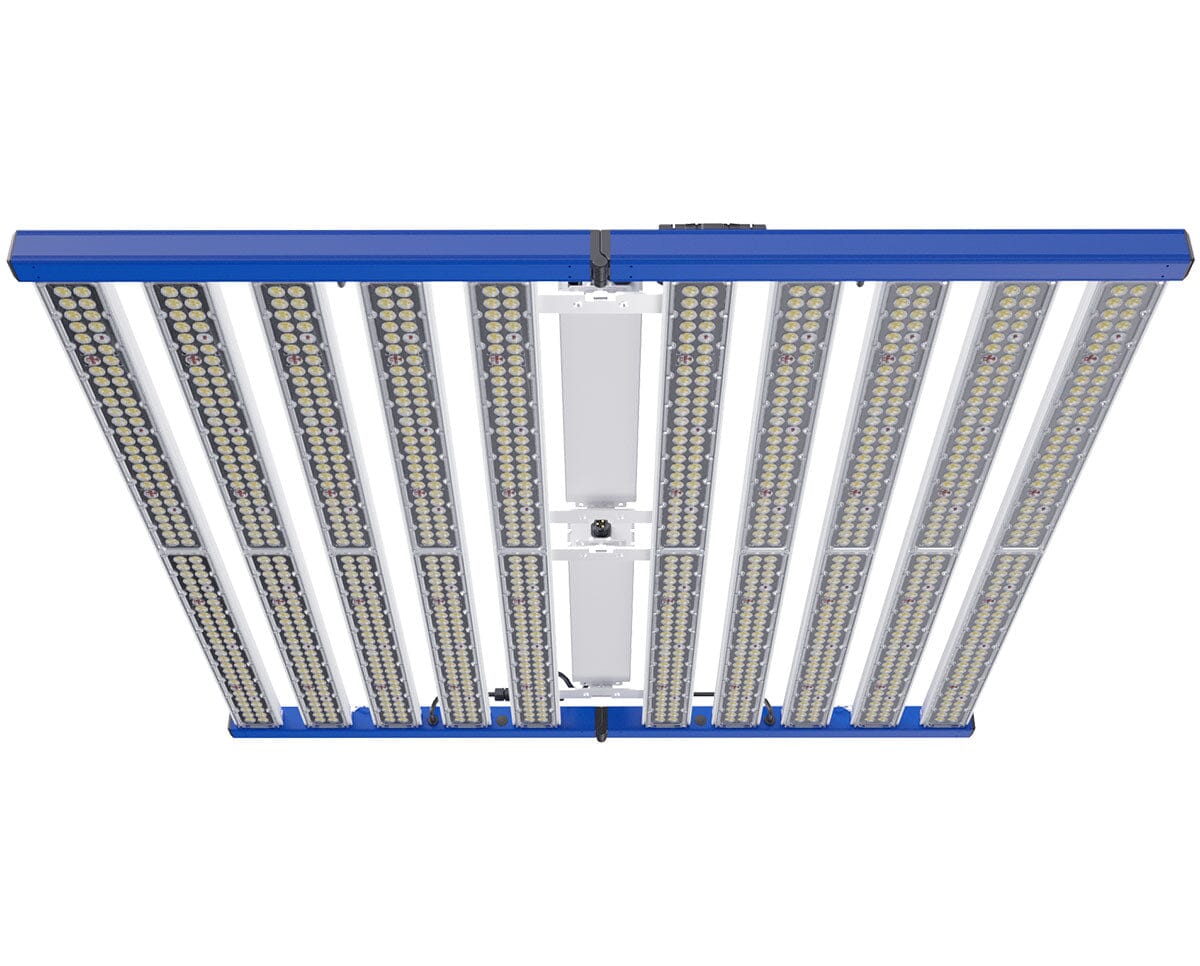 Grand Master Tarantula Borg Evolution V2 Grow Light — Grow Light