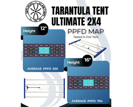 Tarantula Tent Ultimate 2x4 PPFD Map with height measurements and average PPFD values on a white background.