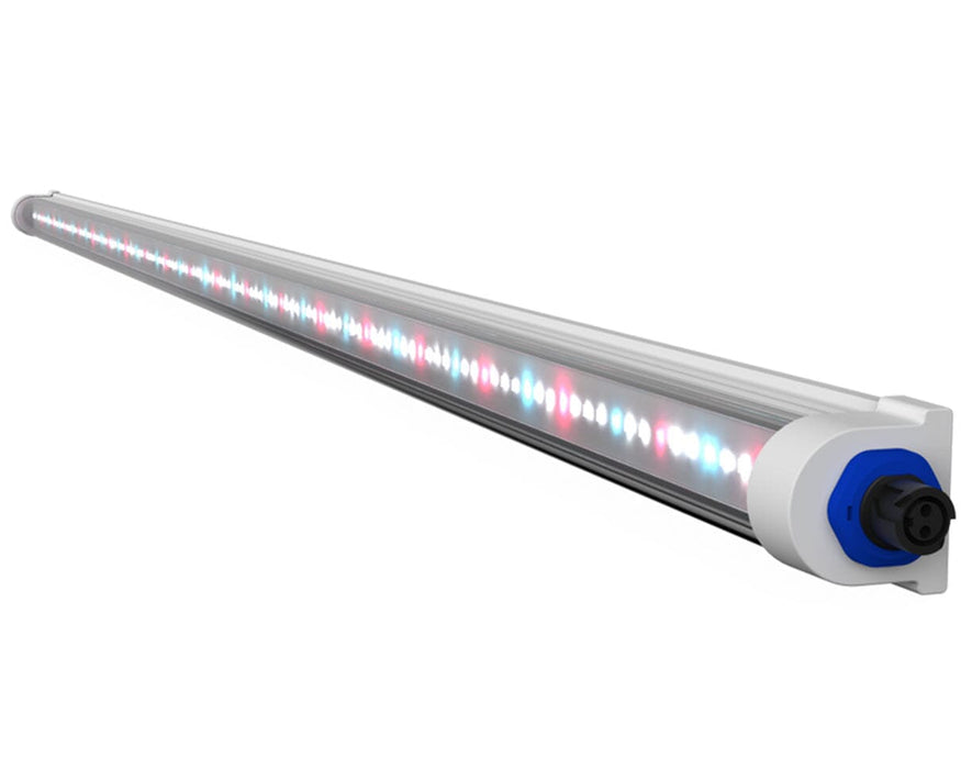 Grand Master LED Tarantula Veggie Bar with red, blue, and white diodes, optimized for full-cycle plant growth performance.