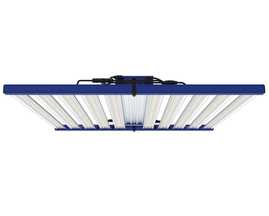 Tarantula Borg EVO 1600 commercial LED grow light showing full spectrum LED bars with IP66 waterproof rating.