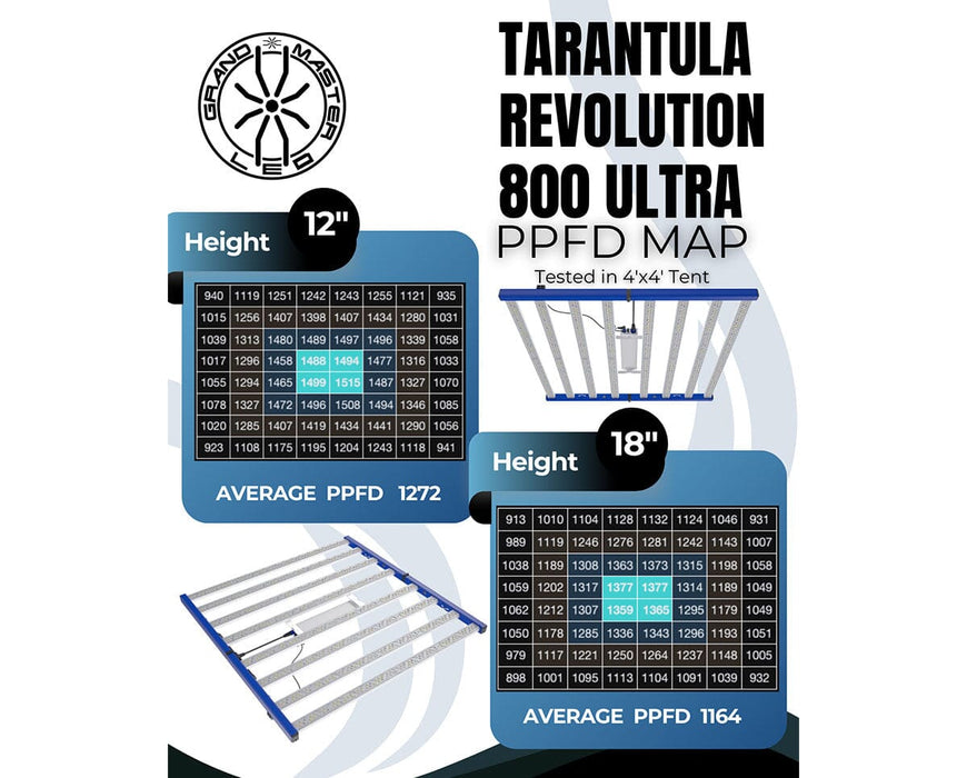 Grand Master LEDs Tarantula Revolution 800 Ultra PPFD map showing uniform 4x4 canopy coverage at 12 and 18 inches.