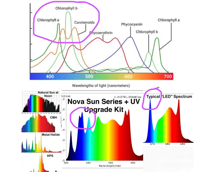 Comparison of light spectrum absorption curves and output of Nova Sun Series versus typical LED and natural light.