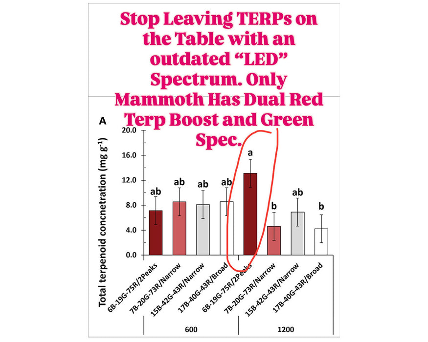 Bar graph comparing terpenoid concentrations from various LED spectrums with Mammoth Lighting showing highest results.