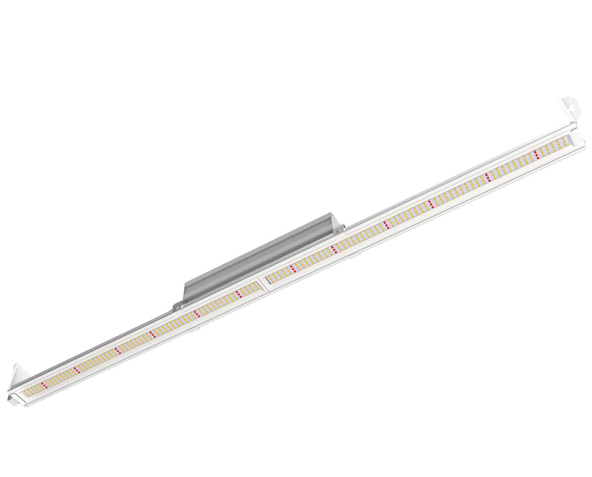 Angled view of Nova Sun 100W LED light bar showing dense diode array optimized for early vegetative growth.