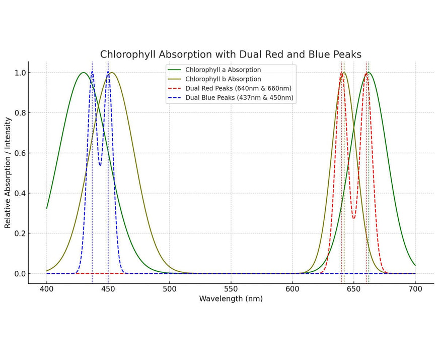 Graph comparing chlorophyll a and b absorption with dual red and blue LED peaks for optimal plant growth.