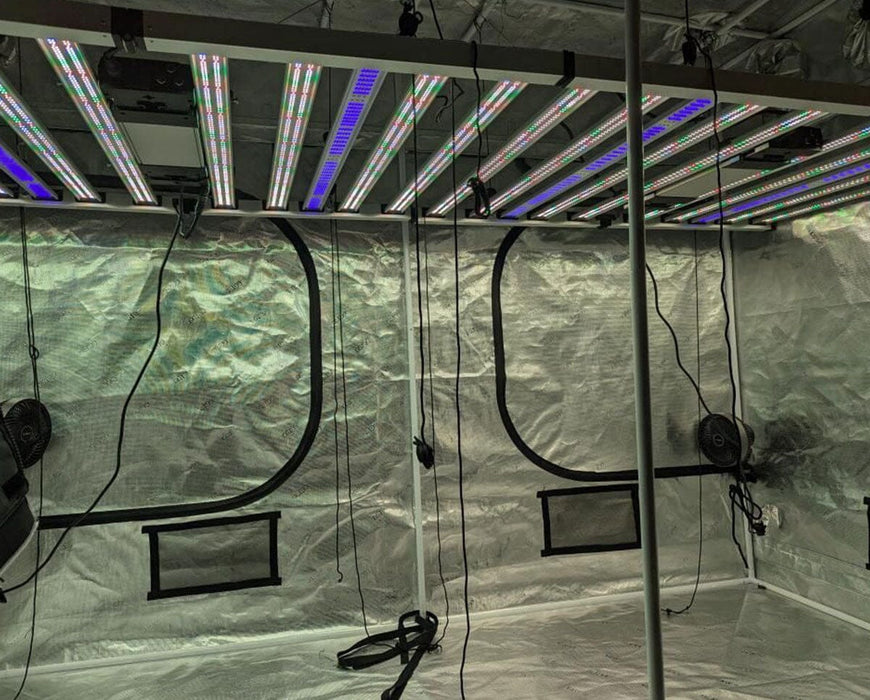 Nova Sun Series LED grow lights installed in reflective grow tent for full-spectrum plant cultivation in controlled environment.