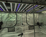 Nova Sun Series LED grow lights installed in reflective grow tent for full-spectrum plant cultivation in controlled environment.