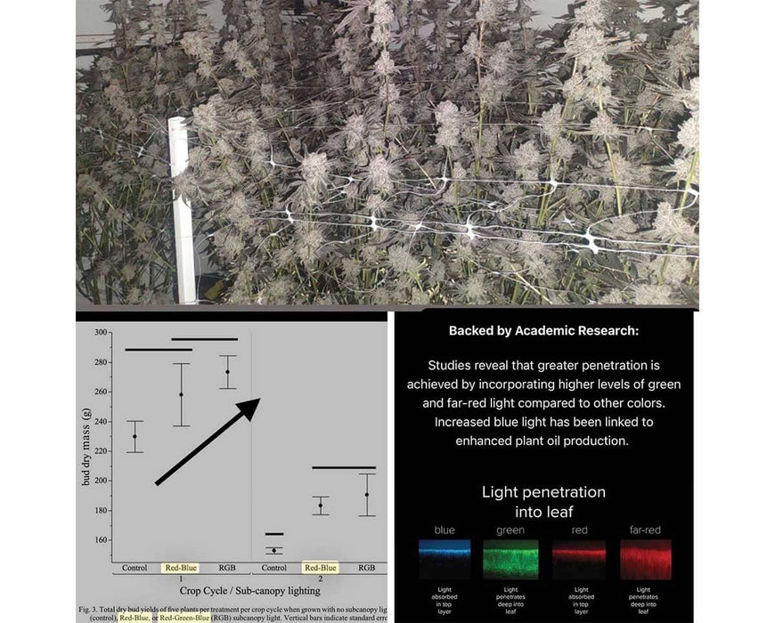 Bud canopy under Nova Sun LED lights with supporting research showing enhanced yields from green and far-red spectrum use.