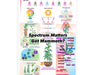 Diagram showing how Mammoth Nova Sun Veg + Mom spectrum improves plant growth, photoreceptors and metabolism.