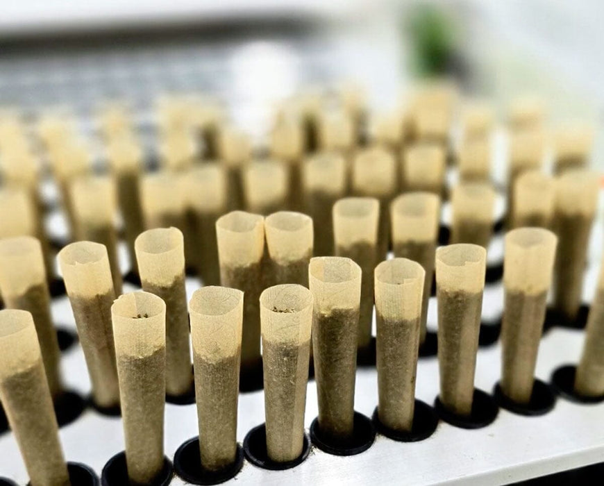 Finished pre rolls in RollCraft MRB machine tray showing uniform fill quality and compaction results