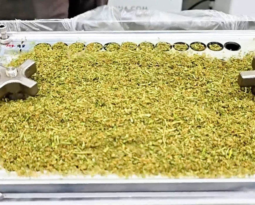 RollCraft MRB cone filling machine spreading ground bud flower for consistent pre roll production STM Canna