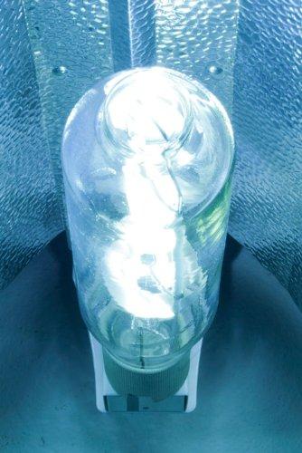 iPower 600 Watt Metal Halide Grow Light Bulb HID Light iPower